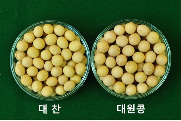 농진청, 재배특성 우수한 콩 신품종 선보여