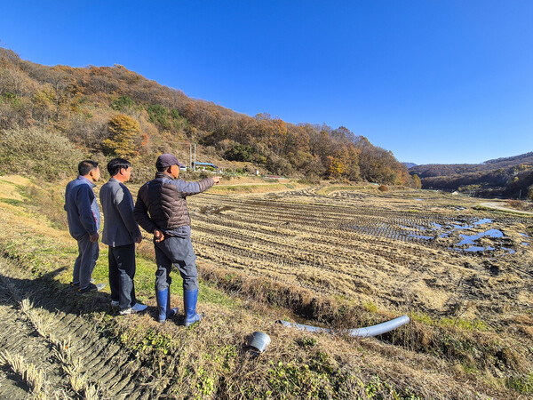 천안시 동남구 북면 사담2리에서 추진 중인 태양광 발전사업을 둘러싸고 허가 과정 불투명·과장 광고 논란, 매매계약 후폭풍, 보호종 누락 등 각종 문제가 불거지며 주민·시행사·행정 간 갈등이 격화되는 가운데 주민들은 “마을 존립이 달렸다”며 반발하고 있다. 사진은 주민들이 태양광 추진이 진행되고 있는 논을 바라보며 대책을 논의하고 있는 모습.
