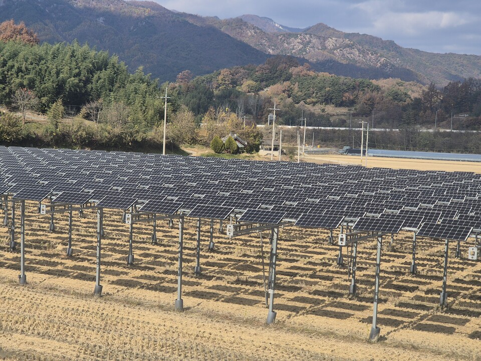 함양군 기동마을 영농형 태양광.
