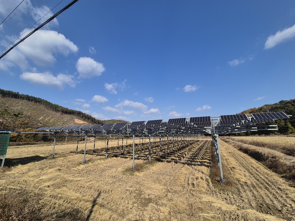함안군 명동마을 영농형 태양광.