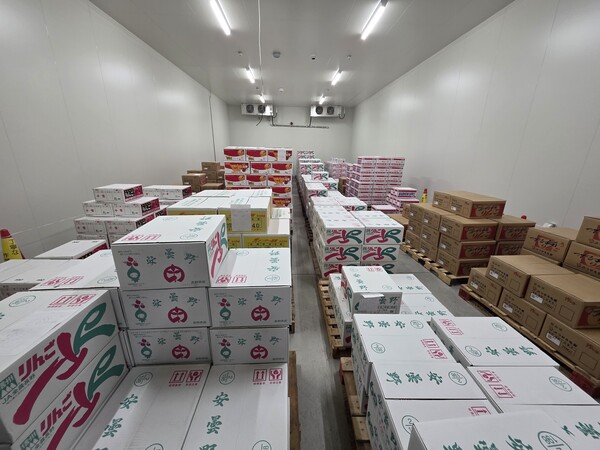 저장시설에서 최상의 조건에 맞춰 저장되고 있는 농산물.