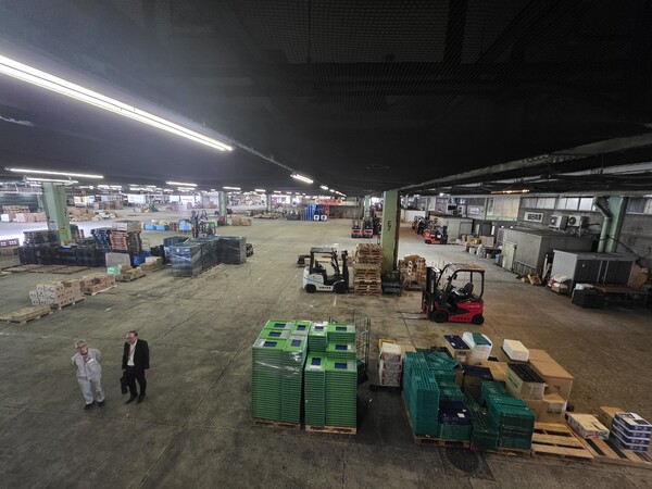 저장시설을 이용하지 않는 농산물은 출하작업을 거쳐 출하된다. 기타규슈도매시장 내부 전경 모습.