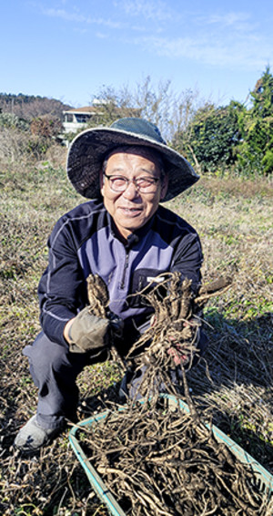 백도라지의 진정한 가치 찾아낸 ‘목성콜 농장’ < 대한민국  최고 농업기술  명인을  찾아서 < 특집기획 < 기사본문 - 농업인신문